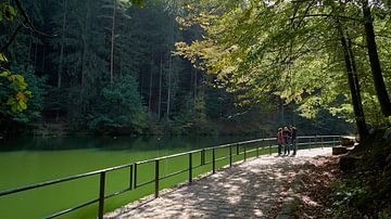 de Amselsee bij het dorp Rathen in het Elbsansteingebirge van Heiko Kueverling