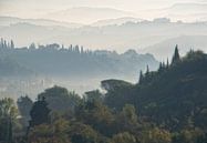 Nevel landschap Toscane van Marcel van Balken thumbnail