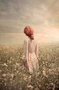 Field in Pastel, Ildiko Neer by 1x thumbnail