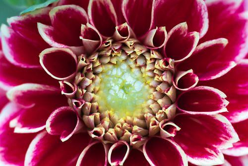 Kijk mij eens shinen!