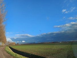 Niederländische Aussicht. von Mariëlle Vermeij