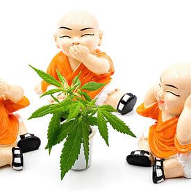 The three wise monks: Hear nothing, see nothing, say nothing - meditation, silence and growth in the circle of mindfulness by AidasignArt