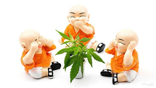 De drie wijze monniken: Hoor niets, zie niets, zeg niets - meditatie, stilte en groei in de cirkel van mindfulness
