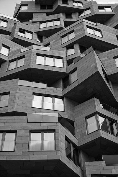Black and white by Rebecca den Hertog