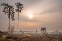 Sunrise with fog in De Treek