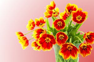 Blumenstrauß aus Tulpen von 7Horses Photography