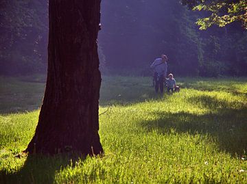 Ochtendlicht in het Auenpark