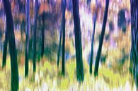 Silent forest van Studio Mirabelle thumbnail