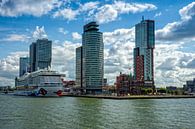 Rotterdam, Kreuzfahrtterminal und Kreuzfahrtschiff von Jan van Broekhoven Miniaturansicht