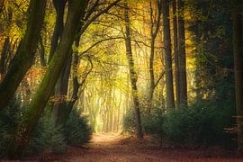 Oblivion by Ellen Borggreve