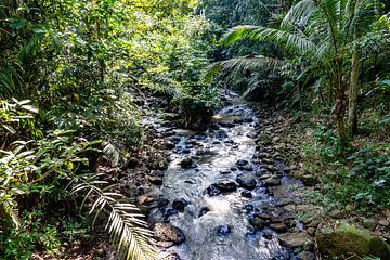 Bali; running water by Dirk Lahuis