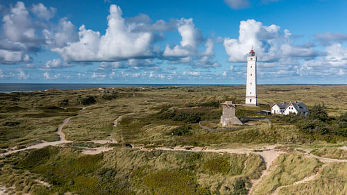 Leuchtturm Blåvandshuk Fyr in Jütland