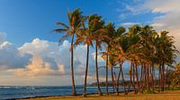 Parc de la plage de Kapaa, Kauai, Hawaii par Henk Meijer Photography Aperçu