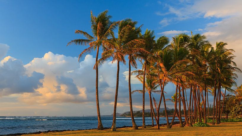 Parc de la plage de Kapaa, Kauai, Hawaii par Henk Meijer Photography