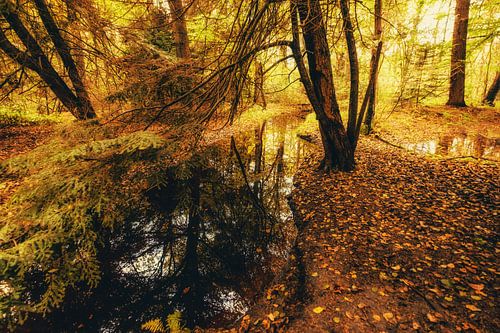 Autumnmood | Hof Espelo (2)