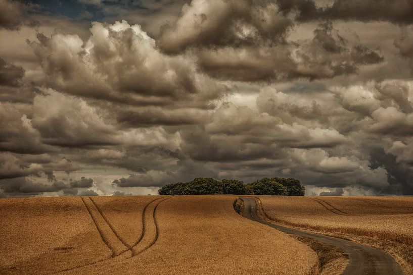 landschaftssomme in frankreich von anne droogsma