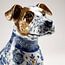 Jackrussel