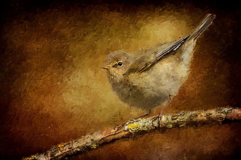 Fitis auf einem Ast (Gemälde) von Art by Jeronimo