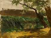 Carlos de Haes-Bullenbüsche, alte Weiden, antike Landschaft von finemasterpiece Miniaturansicht