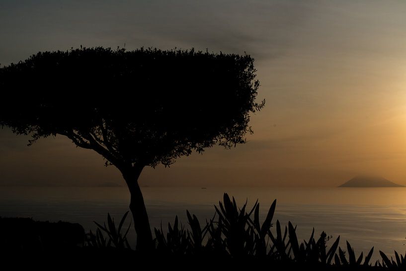 Sunset in Italy by Bianca  Hinnen