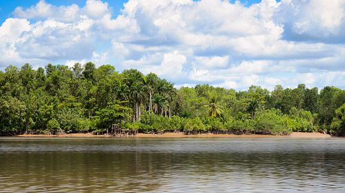 River at plantation Bakkie in Suriname