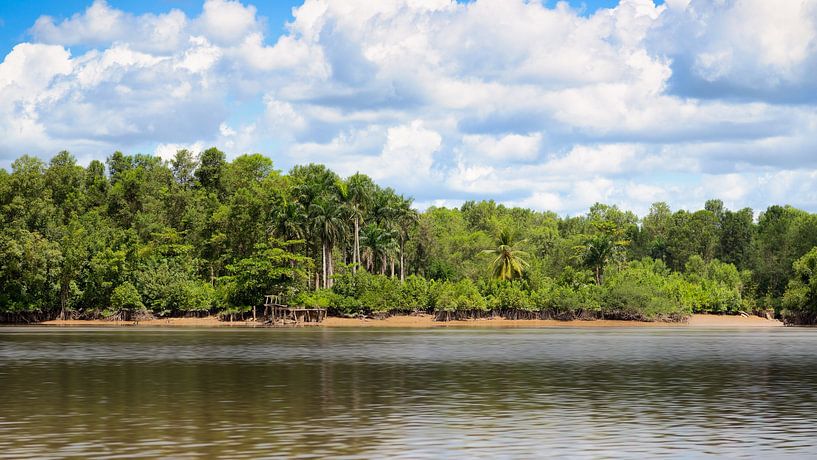 Rivière à la plantation Bakkie au Suriname par René Holtslag