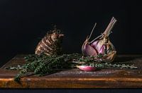 Nature morte 