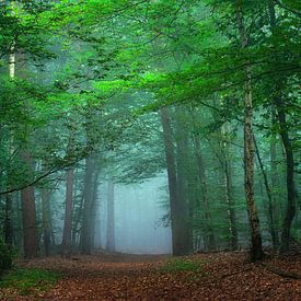 blue forest van Danielle de Graaf