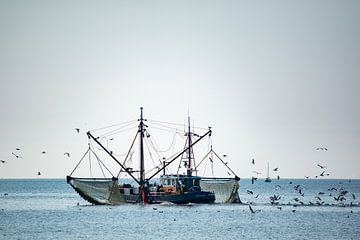 Vissersboot van Margreet Boersma