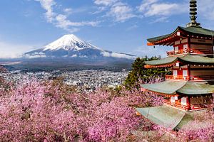 Vue pittoresque sur le Mont Fuji avec la pagode Chureito pendant la floraison des cerisiers