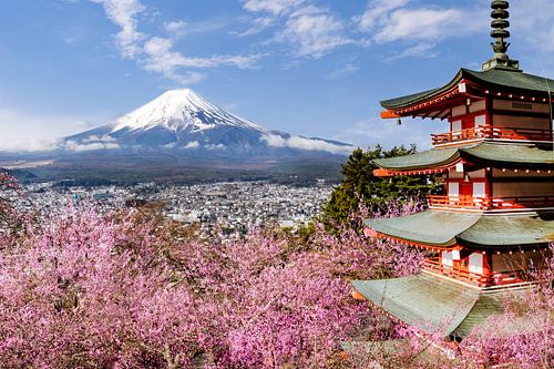 Schilderachtig uitzicht op de berg Fuji met de Chureito-pagode tijdens het kersenbloesemseizoen