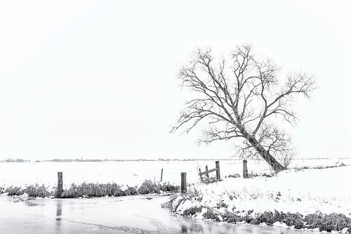 Winter aan de Groene Steeg