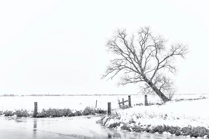 Winter aan de Groene Steeg by Erik Veldkamp