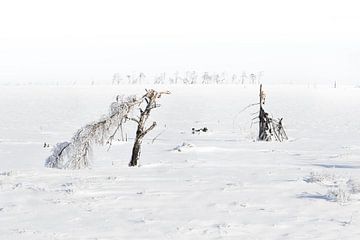 Winter landschap