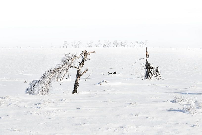 Winter landschap par Ingrid Van Damme fotografie