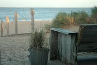 scaffoldwood chair on the beach