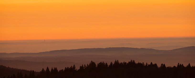 orange Vosges by Kris Hermans