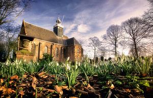 Schlosskapelle, Egmond aan den Hoef