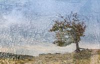 Het Wekeromse Zand