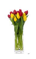  3 D canvasprint,tulpen in vaas, witte achtergrond,tulip,tulp,tulips