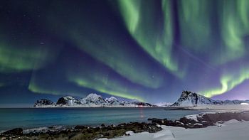 Nordlicht am Strand von Storsandnes auf den Lofoten in Norwegen