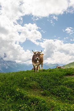 Ontmoeting met een koe bij Grosse Scheidegg, Zwitserland van Mirjam Dolstra