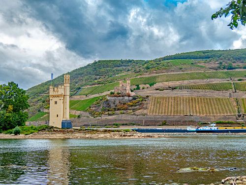 Muizentoren aan de Rijn