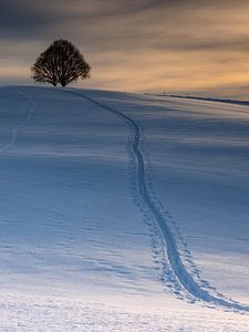 Winterstimmung