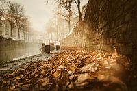 Misty Mornings
