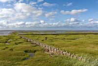 Zoutweide met lahnung in de Waddenzee