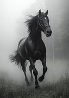 Anmutiger Hengst taucht aus dem Nebel auf