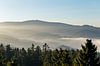 Harzlandschaft