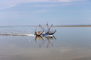 AMELAND Kotter op de Waddenzee