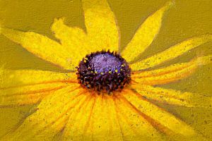 Chapeau de soleil jaune (art)